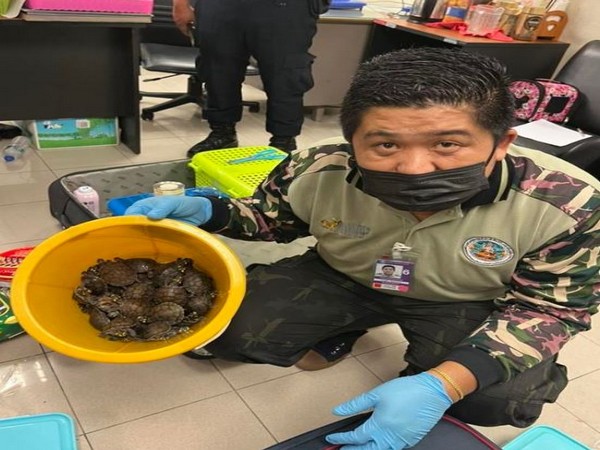 Two Indian women held at Bangkok airport after X-ray found 109 live animals in their luggage (Photo Credit: THAILAND DNP)