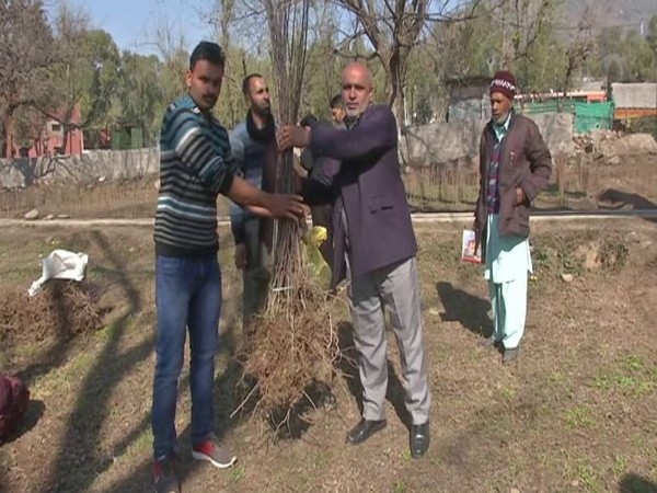 Horticulture department provides fruit plants at subsidised rates to farmers in Poonch. (Photo/ANI)