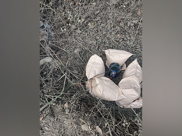 Security forces foil major attack in Manipur's Chandel, recover IED