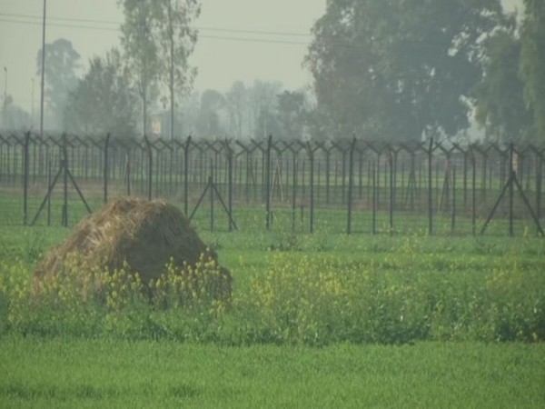 Mahawa village in Punjab (Photo/ANI)