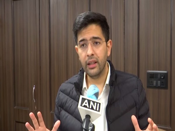 AAP MLA Raghav Chadha (file photo)