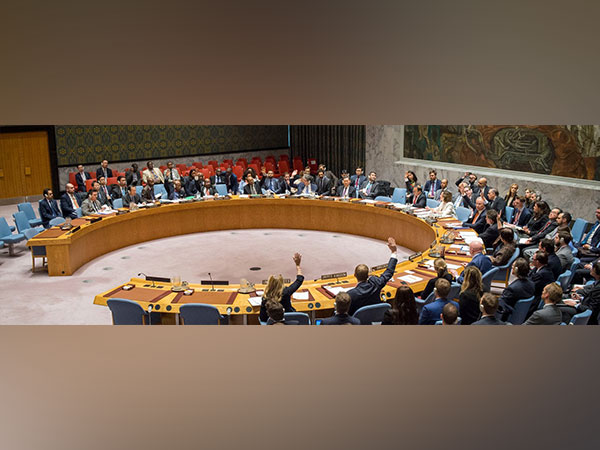 Representative image (Photo Credit: Security Council Twitter)