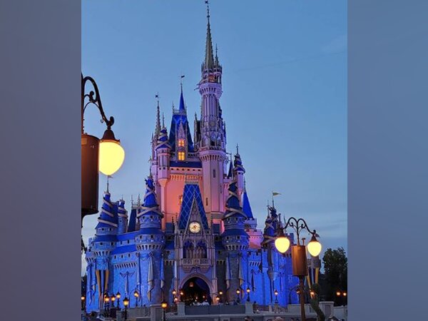 The Magic Kingdom at Walt Disney World (Image courtesy: Instagram)