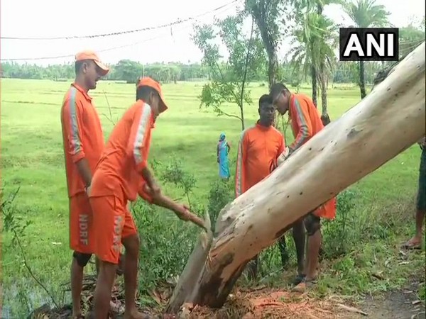 NDRF personnel clearing road at Digha