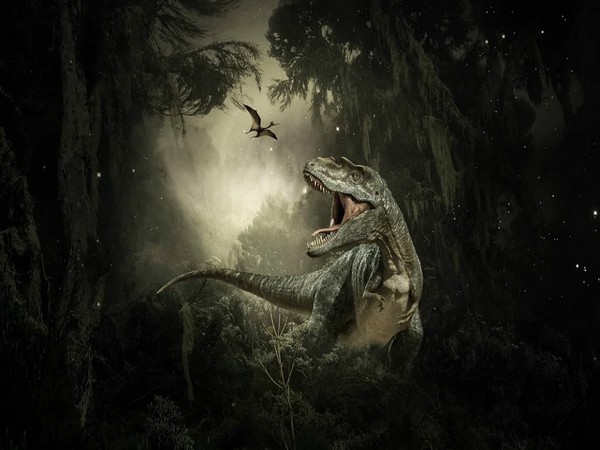 Representative Image