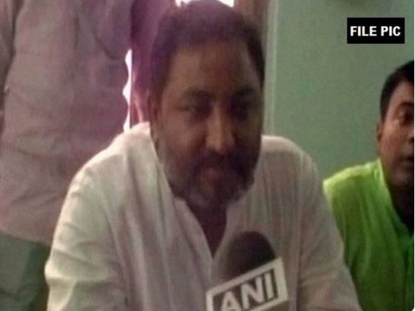 BJP leader from Uttar Pradesh Dayashankar Singh (File Photo: ANI)