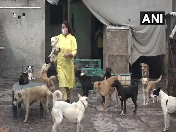 Vineeta Arora with her dogs in Agra on Friday. (Photo/ANI)