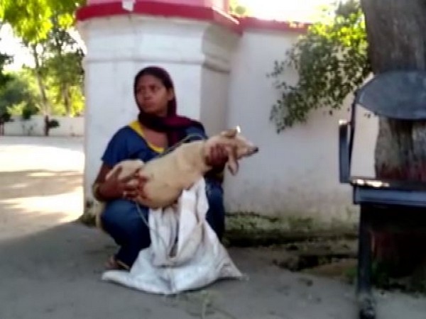 Sunita with the body of her dog in Aligarh, Uttar Pradesh on Friday. Photo/ANI