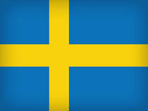 Sweden flag 