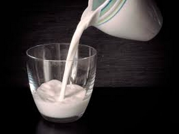 A hazardous effect of dairy is consistent with the recent AHS-2 report suggesting that vegans but not lacto-ovo-vegetarians experienced less breast cancer than non-vegetarians.