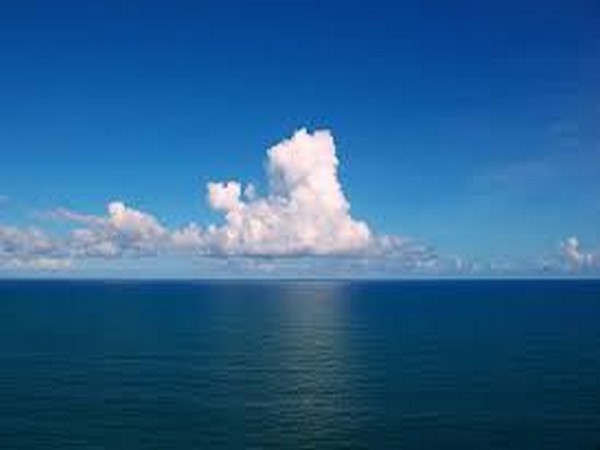 The team's new and surprising findings confirmed their original hypothesis that the extinction record might be driven by a decline of ocean oxygenation.