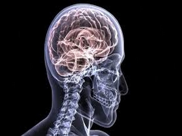 Currently, Alzheimer's affects one-in-ten adults over the age of 65--a number that is expected to triple by 2030.