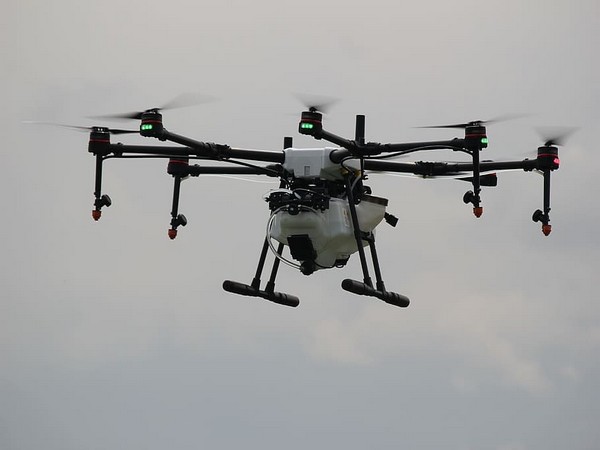 Drones may help farmers improve yields and stay ahead of problems before they become too big.