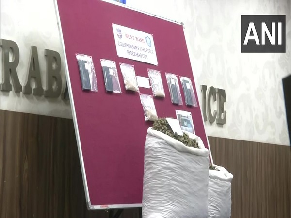 Visual of the Ganja recovered from the accused persons (Photo/ANI) 