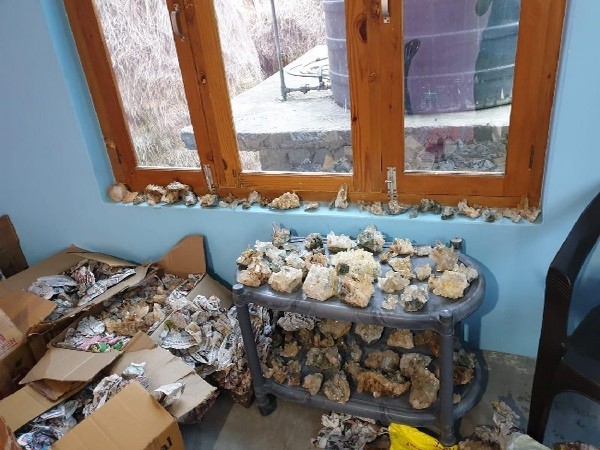 Drugs, cash found from house during raid in Kullu, Himachal Pradesh on July 4. Photo/ANI