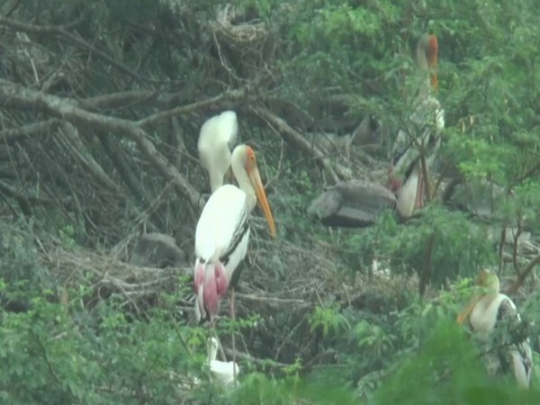 Visuals from Kanpur Zoological Park. 
