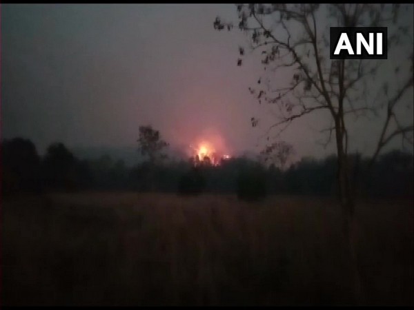 A visual of the forest fire. (ANI)