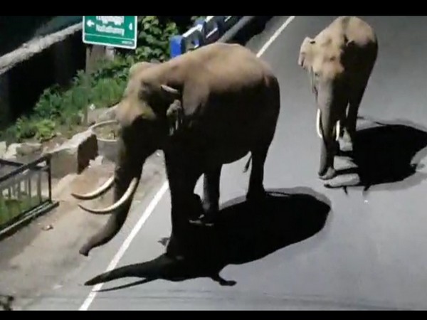 Padayappa and Ganeshan. (Photo/ANI)