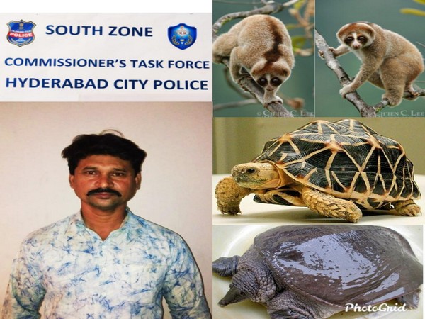 Saleh Bin Mohammed, the accused along with the animals recovered from his possession. Photo/ANI