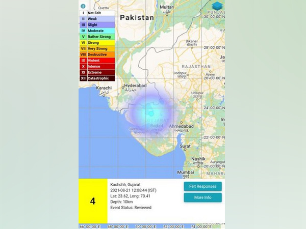 Visual representation of earthquake (Photo/Twitter/NCS)