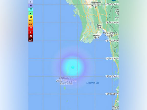 Graphical representation of earthquake in Andaman and Nicobar (Photo credit Twitter: @NCS_Earthquake)
