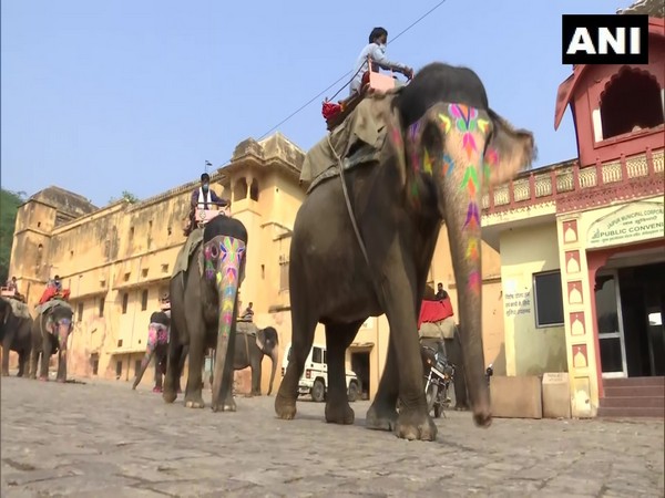 A visual of elephant ride in Jaipur's Amer Fort. (Photo/ANI)