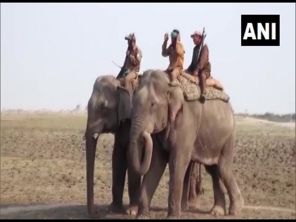 Two elephants deployed to chase away rhinoceros (Photo/ANI)