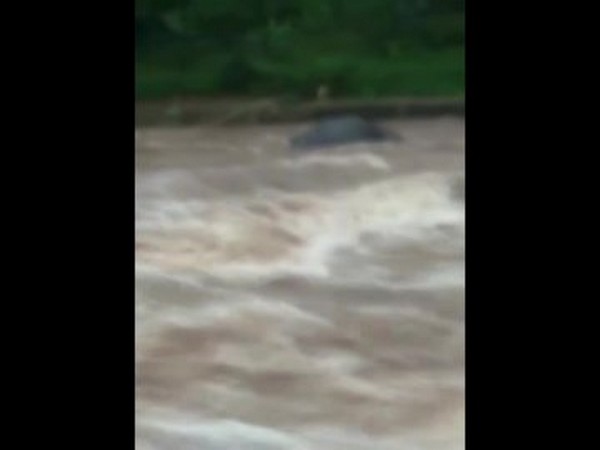 A visual from the incident where elephant carcass washed away in Kerala. 