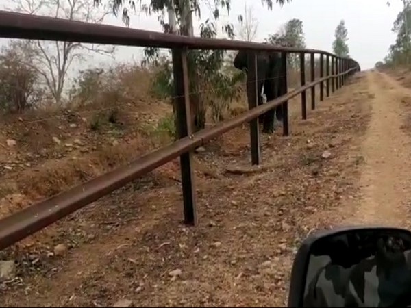 Visual from the video of the incident. Photo/ANI