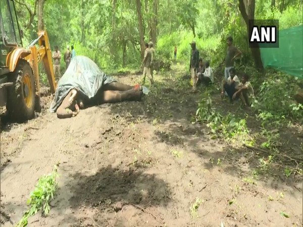 A male elephant died in Karnataka's Shivamogga on August 23. [Photo/ANI]