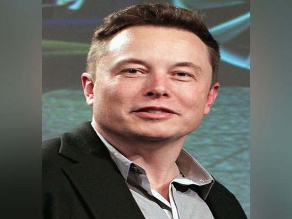 Tesla chief executive Elon Musk