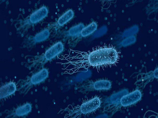 How persister cells wake up is a long-standing question in persistence research.