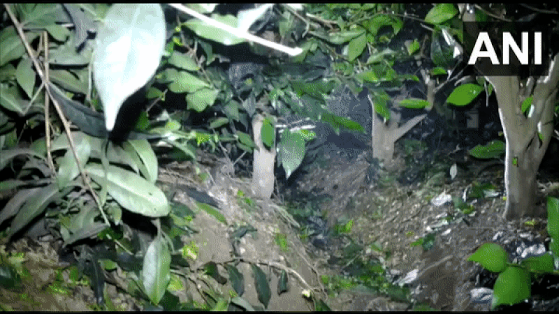 Video released by forest officers (Courtesy: Forest Department)