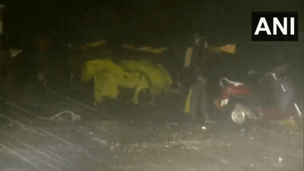 Heavy rains with strong winds in Pattinapakkam area of Chennai