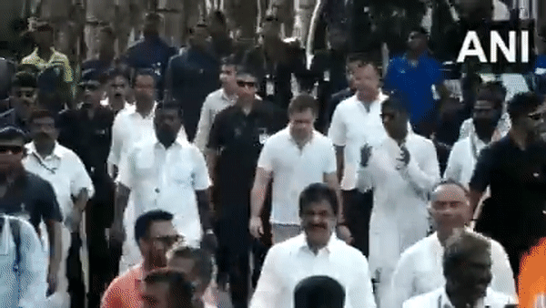 Congress Bharat Jodo Yatra