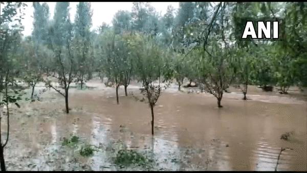 Visual from a village in cloudburst hit J-K's Kulgam (Photo/ANI)