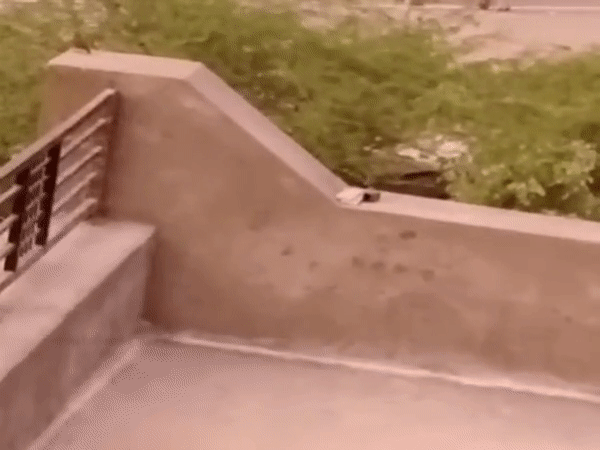 Visuals from Udaipur