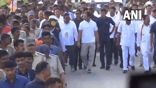 Visual from Bharat Jodo Yatra on day 31 (Photo/ANI)