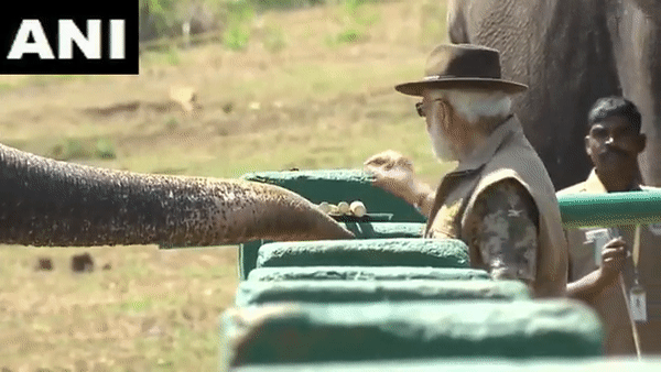 Prime Minister Narendra Modi at Theppakadu elephant camp (Photo/ANI)