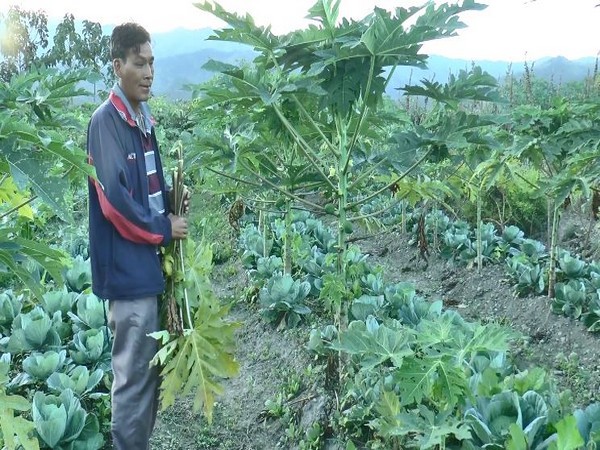 Manipur farmers reap benefits of integrated farming