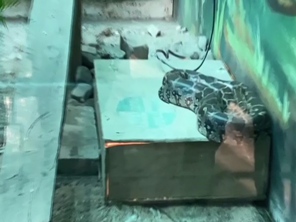 Heaters provided to snake at Indore Zoo (Photo/ANI)