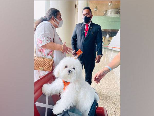 Pet owner and her dog who booked Air India's entire business class (Photo/ANI)