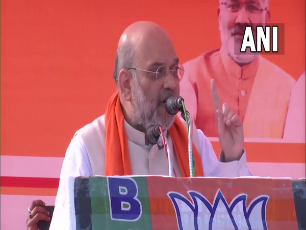 Union Home Minister Amit Shah (Photo/ANI)