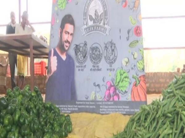 MS Dhoni's agricultural farm 'Eeja' in Ranchi (Photo/ANI)