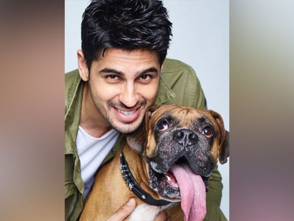 Sidharth Malhotra with his pet dog Oscar (Image source: Instagram)