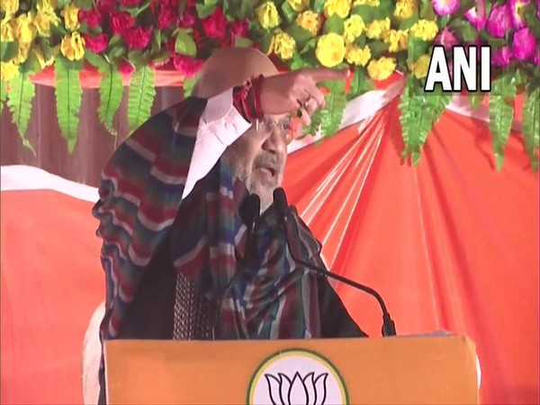 Union Home Minister Amit Shah (Photo/ANI)