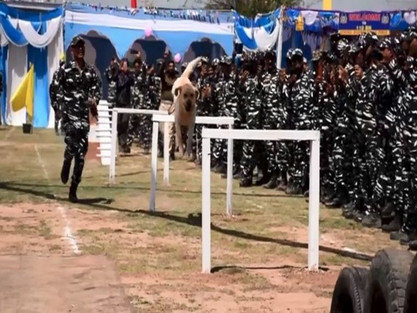Visual from the celebrations at grand fair organised by 110 Battalion of CRPF in Pulwama, J-K (Photo:ANI)