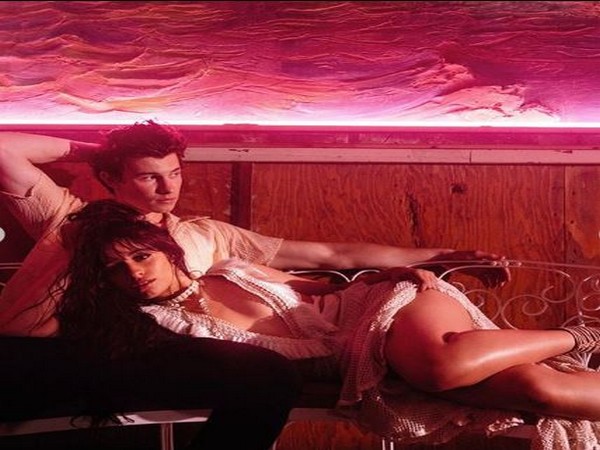 Camila Cabello and Shawn Mendes, Image courtesy: Instagram