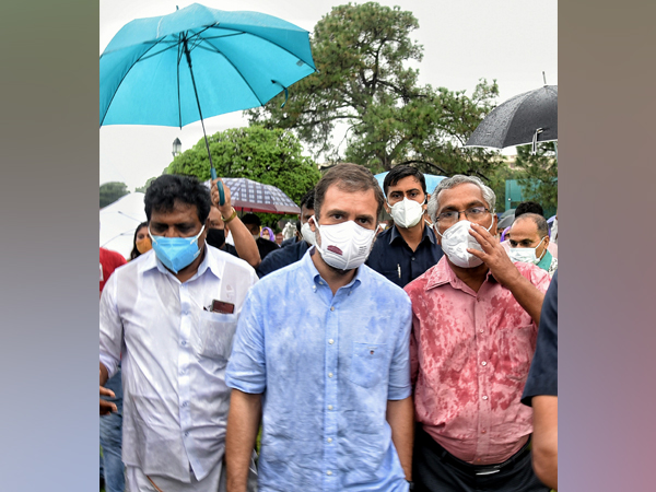 Congress leader Rahul Gandhi (Photo/ANI)