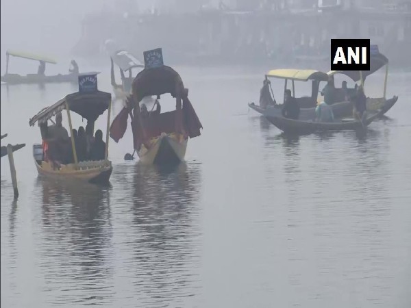 Visual of shikaras in Srinagar (Photo/ANI)